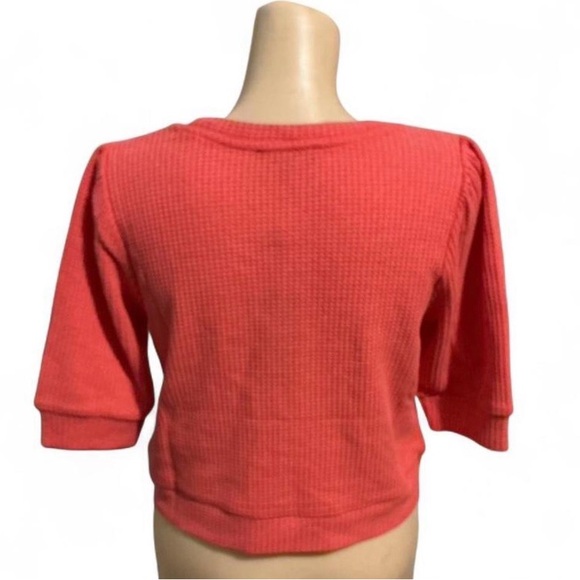Chaser Coral Knit Crop Top - Picture 3 of 3
